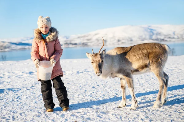 Little Girl Feeding Reindeer Sunny Winter Day Northern Norway — Stock Photo, Image