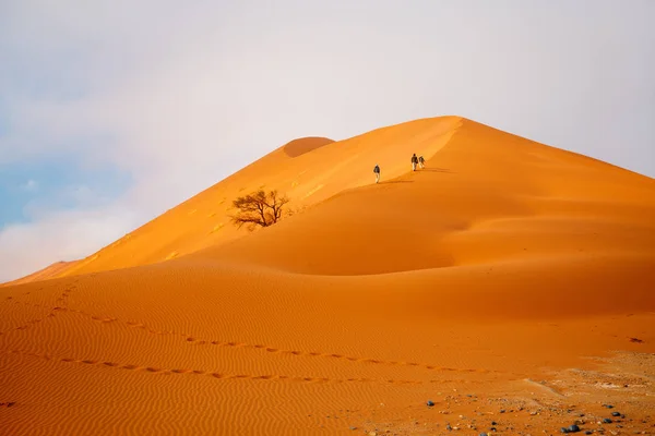 Family Father Two Kids Climbing Famous Red Sand Dune Sossusvlei — 스톡 사진