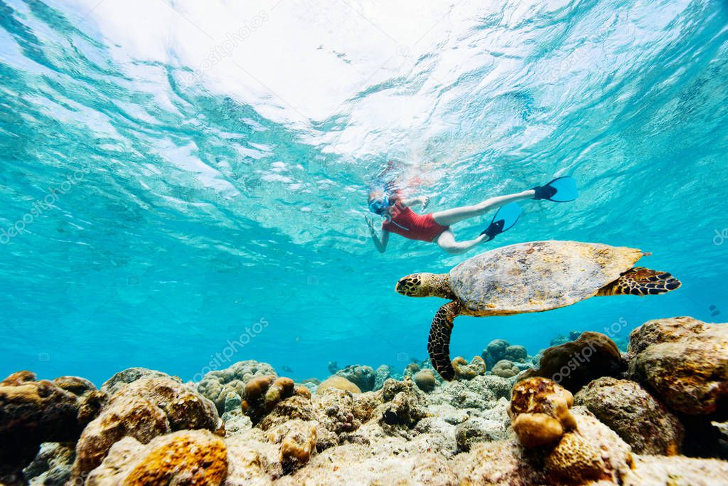 Underwater photo of teenage girl snorkeling and swimming underwater with sea turtle