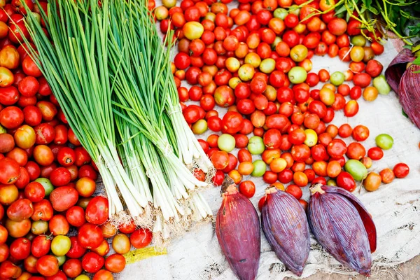 Gros Plan Sur Les Tomates Les Herbes Biologiques Fraîches Marché — Photo