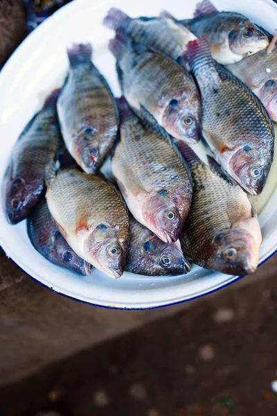 Frischer Fisch Auf Dem Fischmarkt — Stockfoto