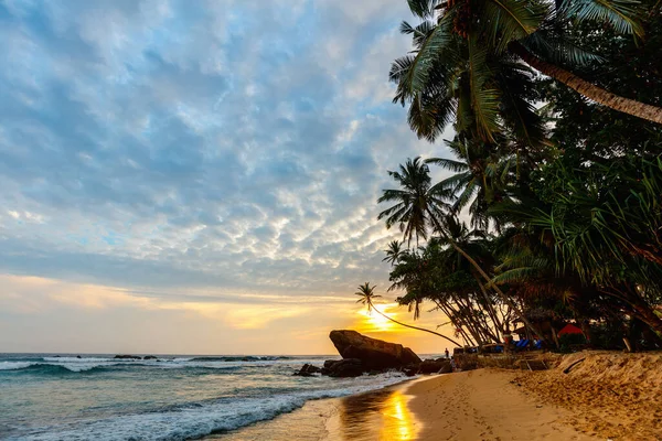 Пейзаж Фото Экзотического Пляжа Шри Ланке — стоковое фото
