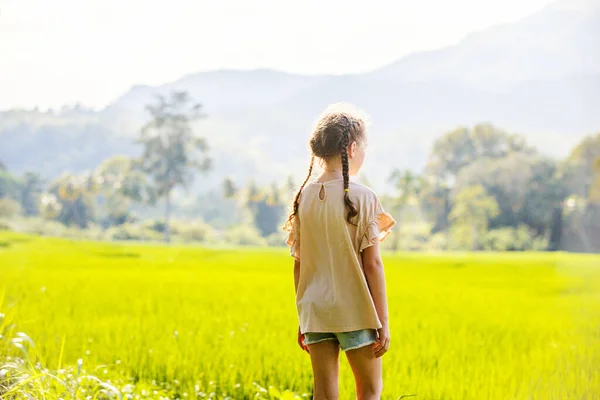 Schattig Meisje Geniet Van Mooie Avondwandeling Rijstvelden Sri Lanka — Stockfoto