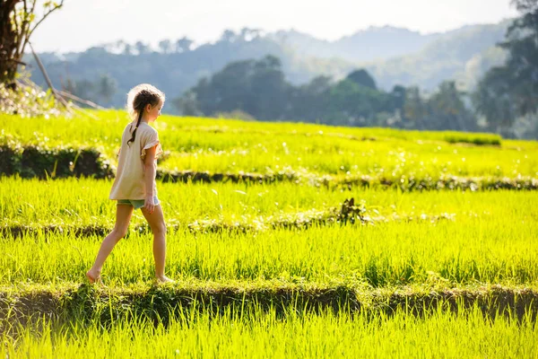 Rozkošná Dívka Užívá Krásné Večerní Procházky Rýžových Polích Srí Lance — Stock fotografie
