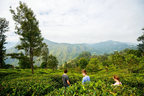 スリランカの山や茶畑で息をのむような景色を楽しむ父と2人の子供の家族 — ストック写真