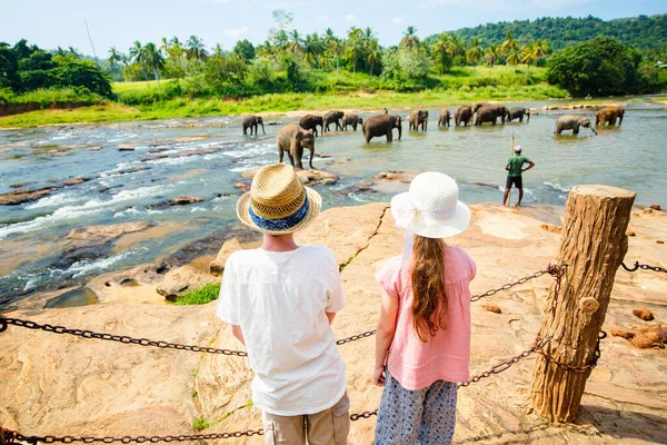 Crianças Assistindo Elefantes Sri Lanka Leito Rio Água Potável — Fotografia de Stock