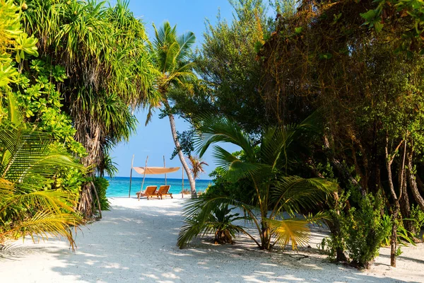 马尔代夫美丽热带海滩上的木制躺椅 — 图库照片