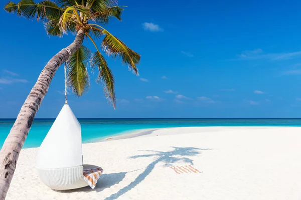 ヤシの木と完璧な熱帯の白い砂浜 — ストック写真
