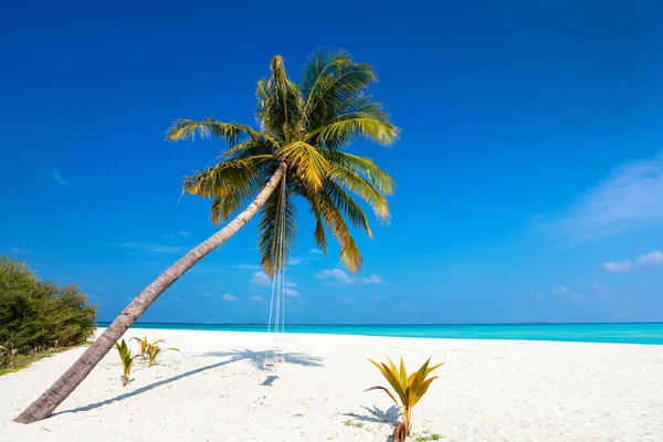 Spiaggia Sabbia Bianca Tropicale Perfetta Con Palme Cocco — Foto Stock