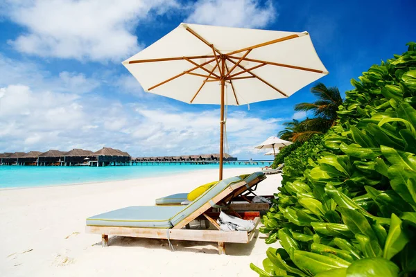 Chaises Longues Bois Sur Une Belle Plage Tropicale Aux Maldives — Photo