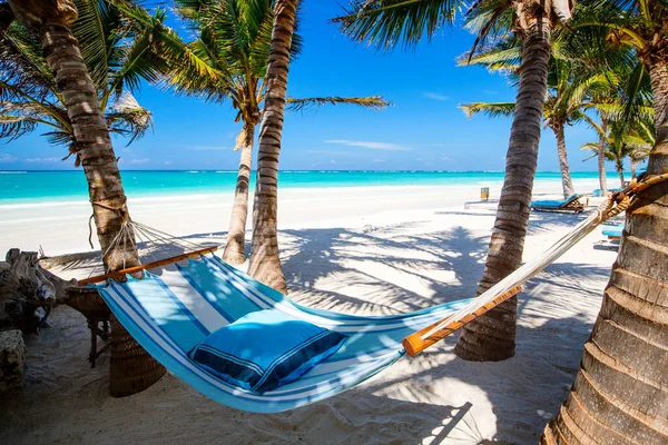 Perfect Tropical Beach Palm Trees Hammock Kenya Africa — Stock Photo, Image