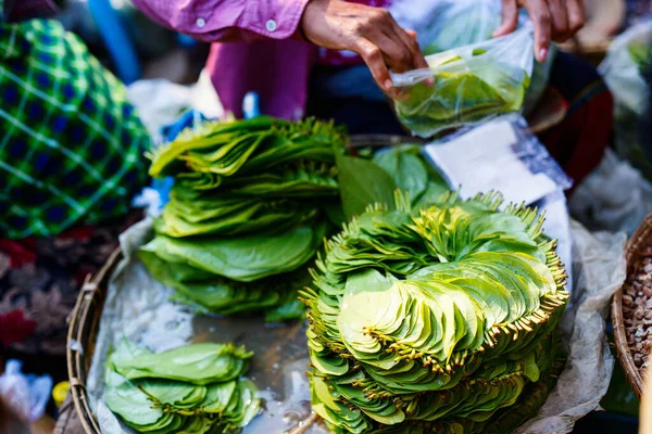 Pile Betel Nut Leaves Arranged Usual Circular Patten Market Bagan — Stock Photo, Image