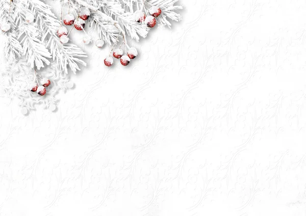 Snöiga röda bär — Stockfoto