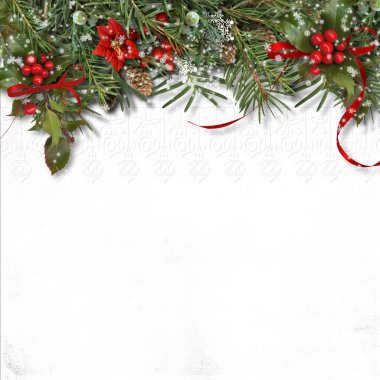 Noel köknar ağacı kenarlık