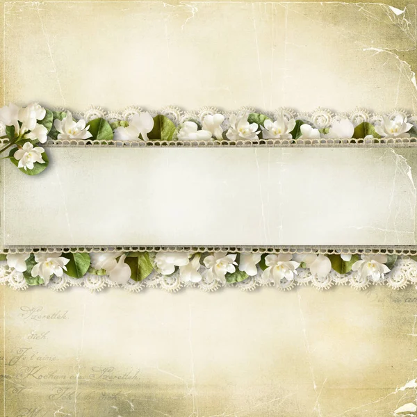 Vintage shabby fundo com uma borda de flores brancas — Fotografia de Stock