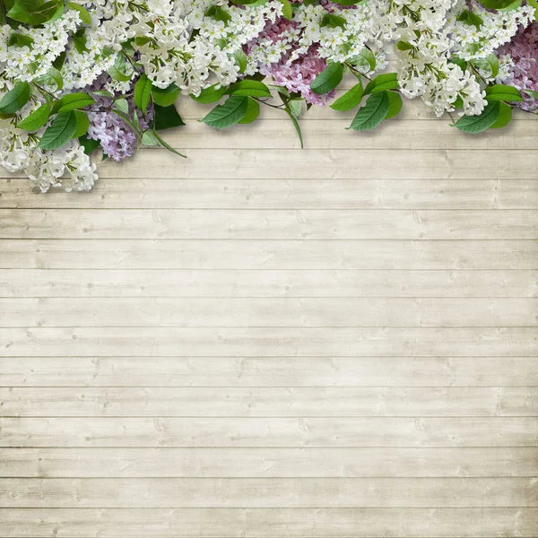 Border of flowers of lilac and bird cherry — Stock Photo, Image