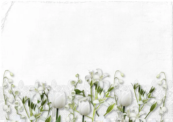 Fleurs blanches de printemps — Photo