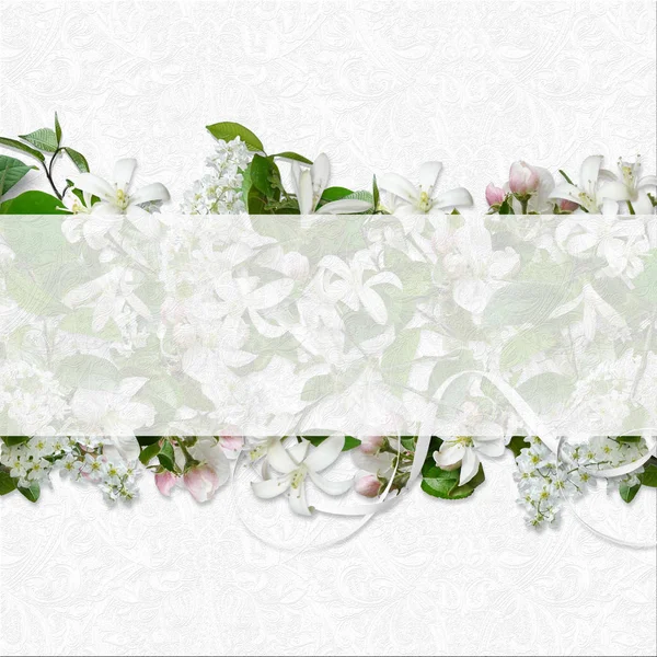Flores brancas de bandeira de primavera — Fotografia de Stock