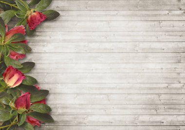 Vintage Güllü ahşap arka plan