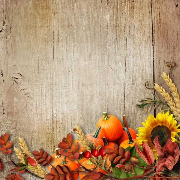 Happy thanksgiving bakgrund — Stockfoto