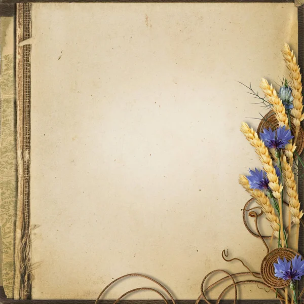 Kır çiçekleri ve spikelets Grunge arka plan — Stok fotoğraf
