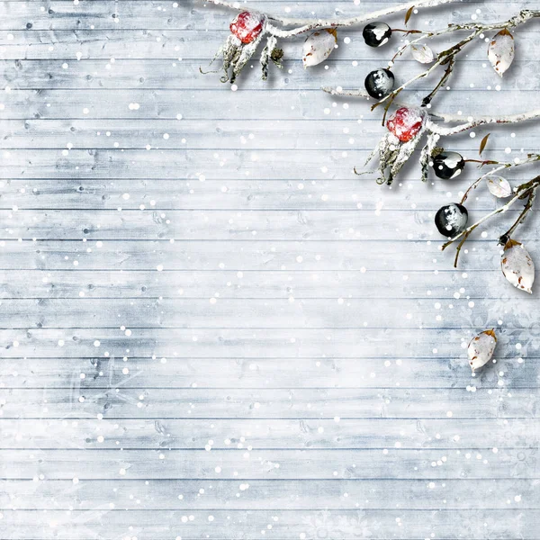 Frost dalları ve çilek ile kış arka plan. boşluk ile