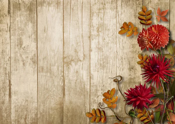 Ramo de otoño con dalias sobre fondo de madera vintage — Foto de Stock