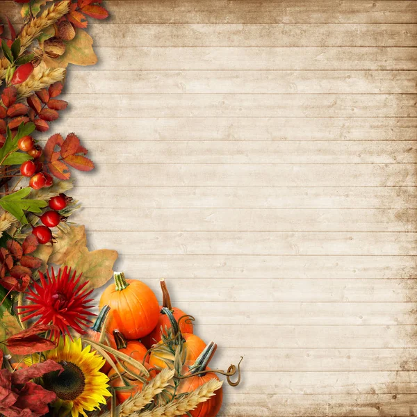 Happy Thanksgiving Card. Autumn Background — Stock Photo, Image