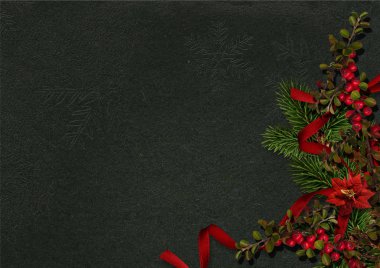 Holly ve karanlık bir arka plan üzerinde Atatürk çiçeği ile Noel süsleri