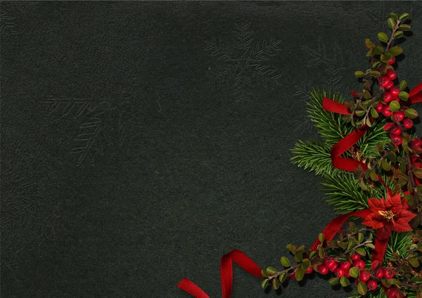 Рождественские украшения с Холли и Пуансеттия на темном фоне — стоковое фото