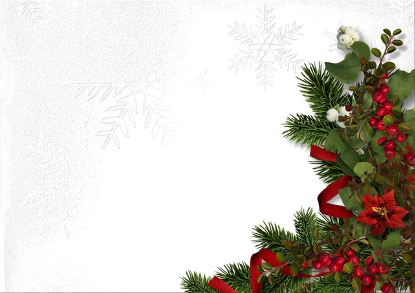 Christmas decorations with red berries and poinsettia on a white — Stock Photo, Image