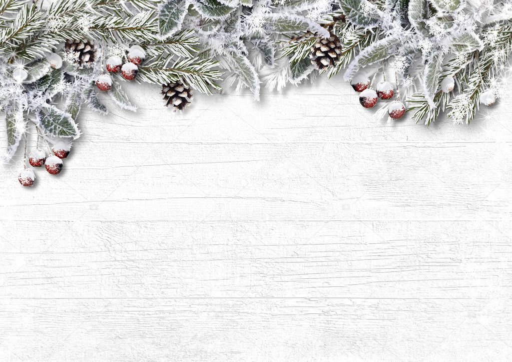 Christmas snowy firtree with holly, cone, frost on wooden white board