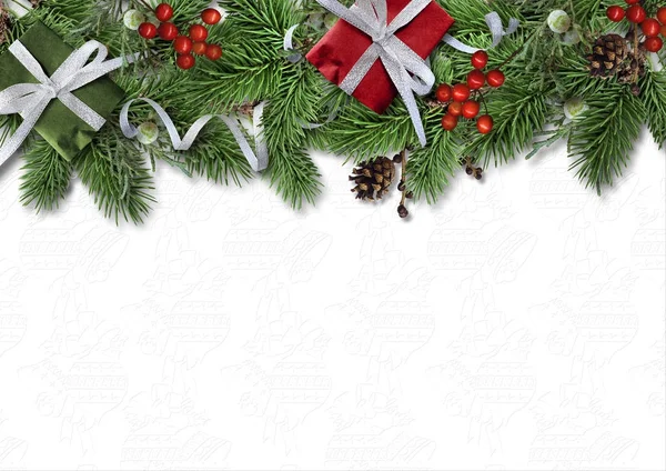 Christmas border branches and holly on white background — Stock Photo, Image