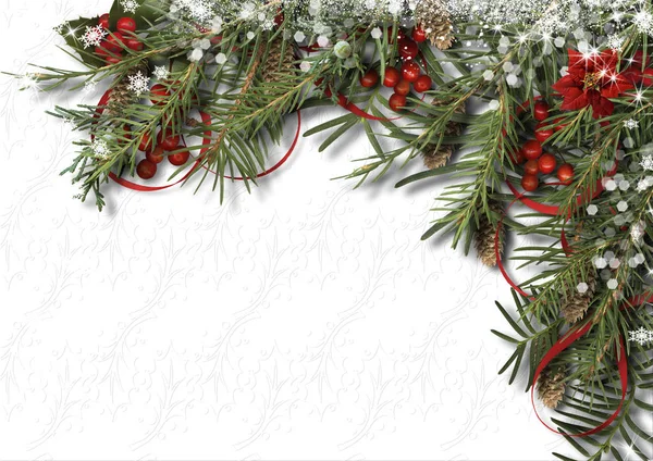 Kerstmis witte achtergrond met Hulst, poinsettia, kegel en firt — Stockfoto