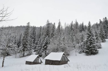 Zakopane kış tatili