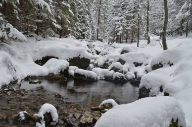 Zakopane kış tatili