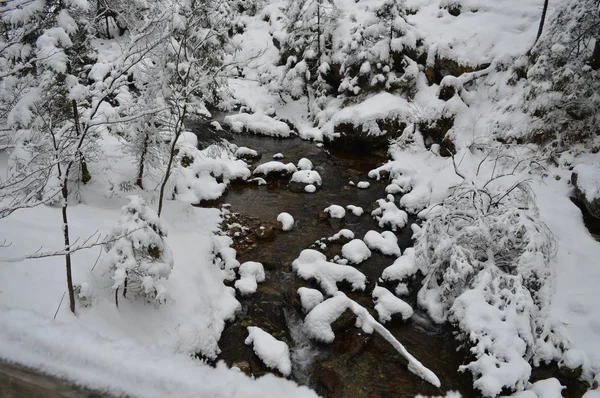 Férias de inverno em Zakopane — Fotografia de Stock