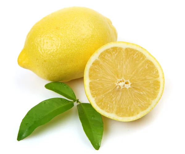 Lemon yellow on a white background — Stock Photo, Image