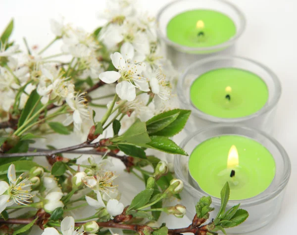 Blooming Apple trees and candles — Stock Photo, Image
