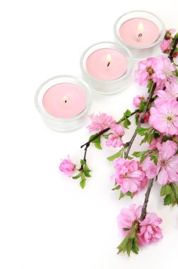 çiçek açan Sakura ve gül mum