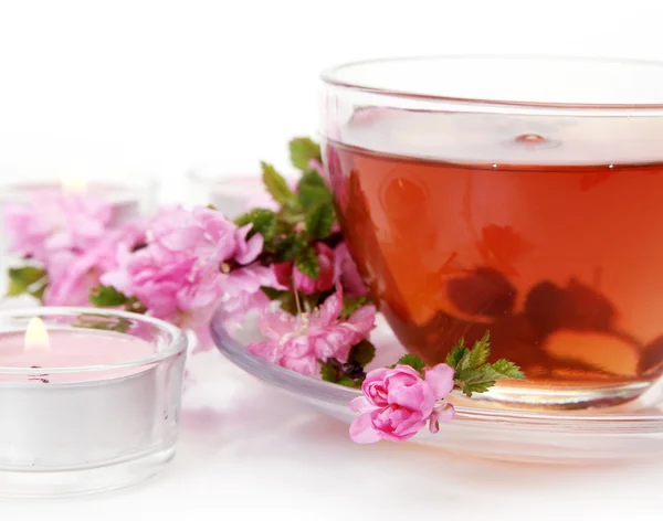 Florescendo Sakura e caneca de chá — Fotografia de Stock