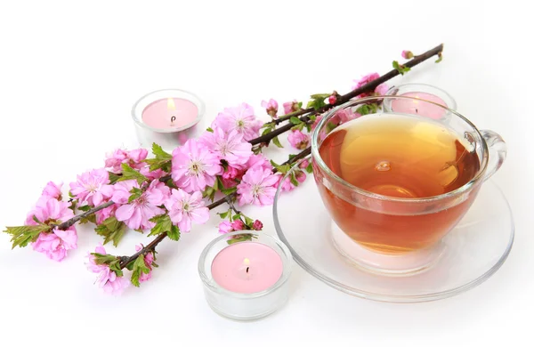 Bloeiende Sakura en thee mok — Stockfoto