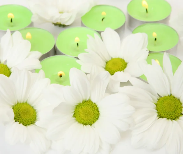 Beautiful Flowers Candles — Stock Photo, Image