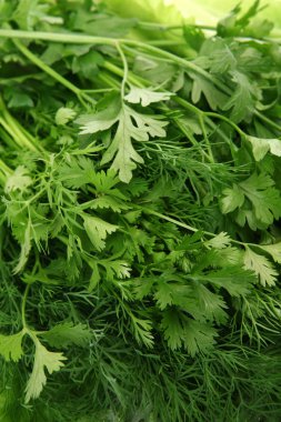 taze sebze diyet için