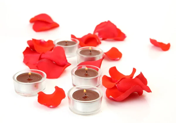 Pétales de rose et bougies sur fond blanc — Photo