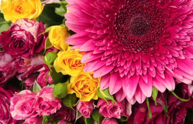 güzel çiçek açan çiçekler yakın çekim