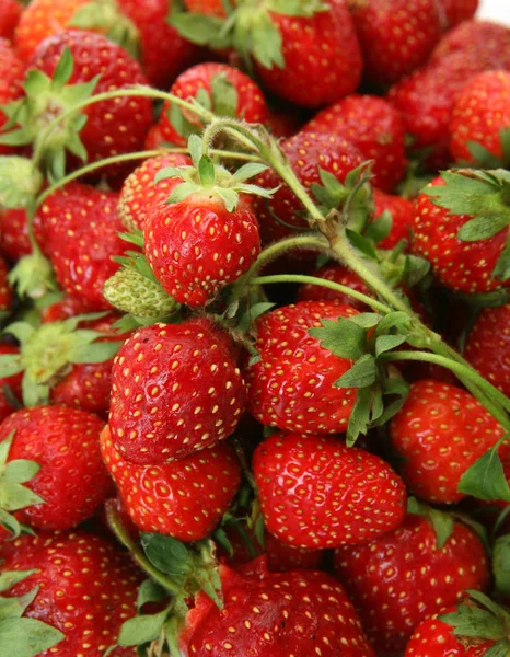 Fresa Madura Para Una Dieta Saludable —  Fotos de Stock