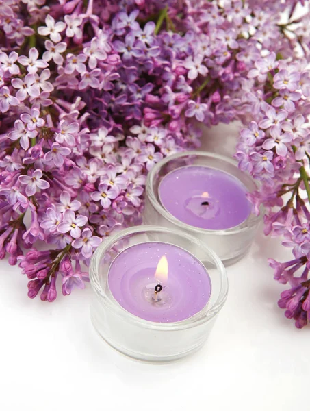 Branch Lilac Burning Candles — Stock Photo, Image