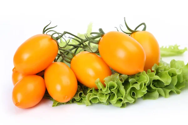 西红柿和生菜在白色背景上 — 图库照片
