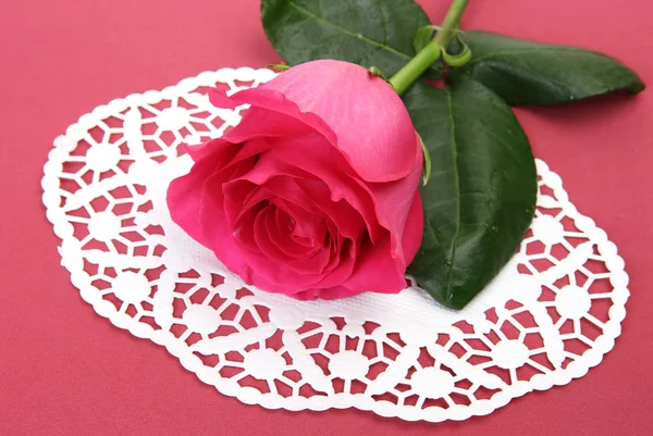 Růžová Růže Ubrousku — Stock fotografie